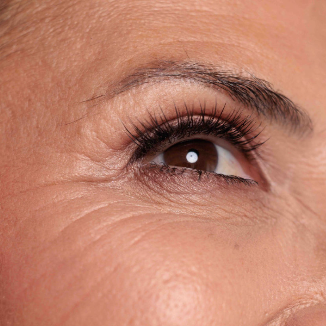 Nothing To Fix Bundle