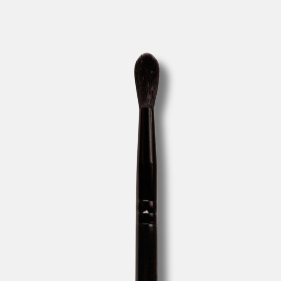 Blender Brush