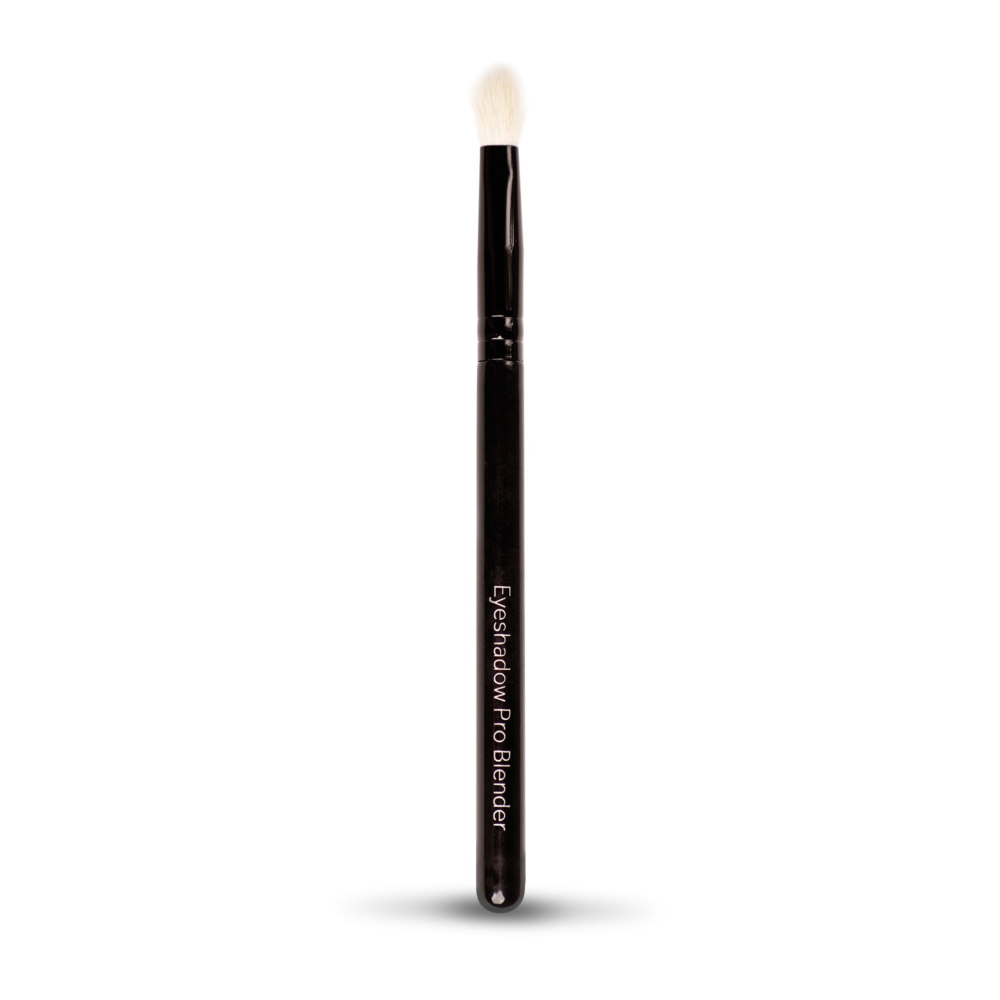 AYU 'Its all in the Eyes' Brush Set
